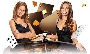 nn bet vip