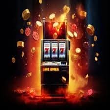 nn bet vip